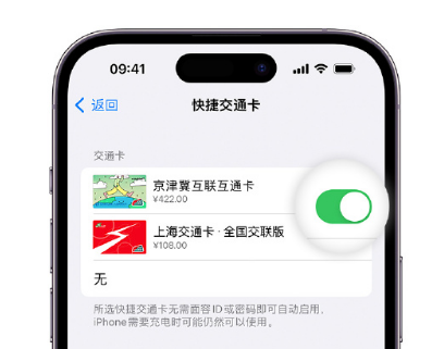 金山apple维修点分享iPhone上更换Apple Pay快捷交通卡手绘卡面 