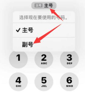 金山苹果14维修店分享iPhone 14 Pro Max使用副卡打电话的方法 