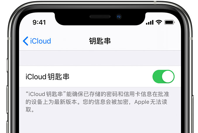 金山苹果手机维修分享在 iPhone 上开启 iCloud 钥匙串之后会储存哪些信息 